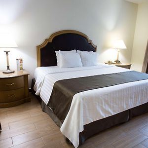 Habitación Adaptada para Personas de Movilidad Reducida con Cama King